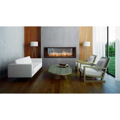 WS54 See-Thru Gas Fireplace 이미지