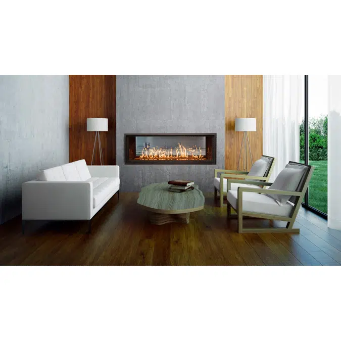 WS54 See-Thru Gas Fireplace