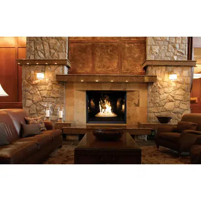 Image pour TC54 Gas Fireplace