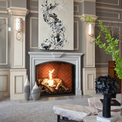 Image pour TC36 Arch Gas Fireplace