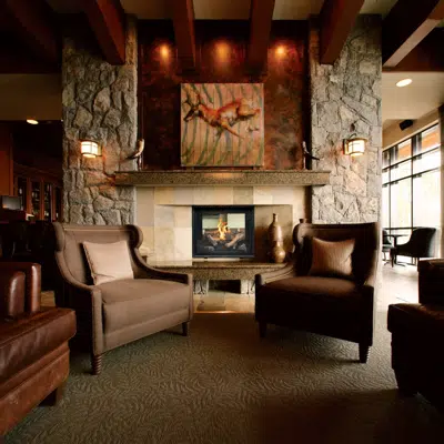 画像 TC36 See-Thru Gas Fireplace