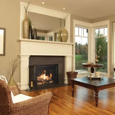 画像 TC36 Gas Fireplace