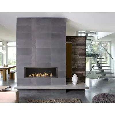 Image for WS54 Gas Fireplace