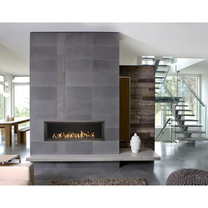 WS54 Gas Fireplace