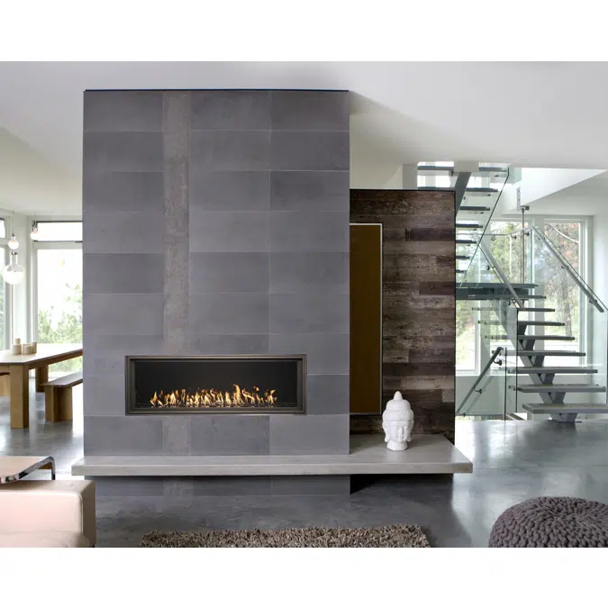 WS54 Gas Fireplace