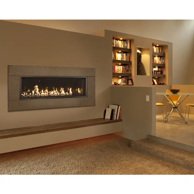 WS54 Gas Fireplace