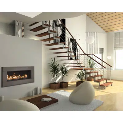 imagem para WS38 Gas Fireplace