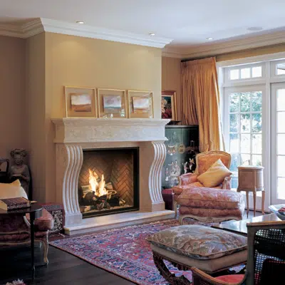 画像 TC42 Gas Fireplace
