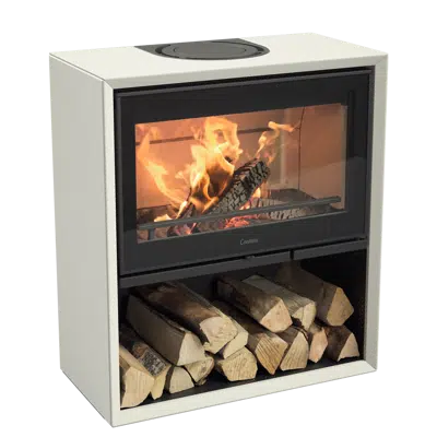 Contura 310 Fireplace图像