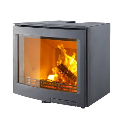 Immagine per Contura i5 Fireplace