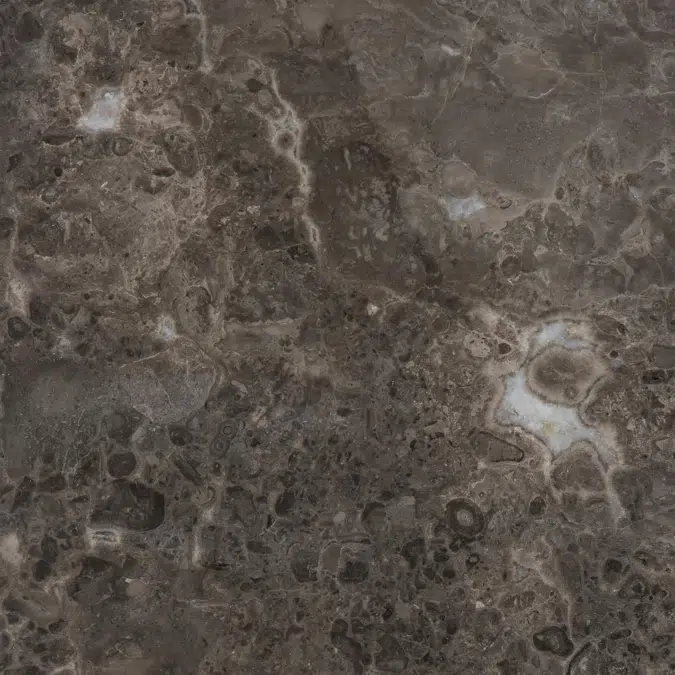 Zurface - Floor tiles - Grigio Bottarga Marble