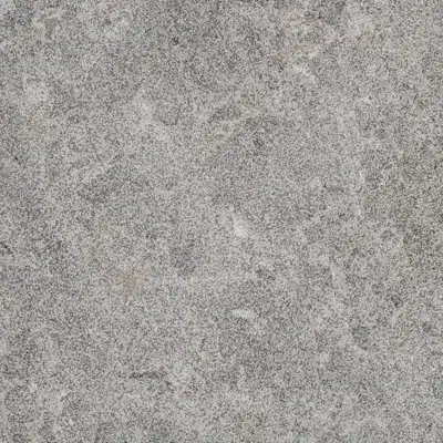 画像 Zurface - Tile - Grigio Bottarga Marble 