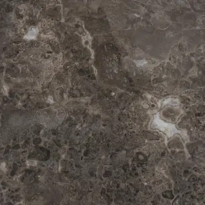 Image for Zurface - Tile - Grigio Bottarga Marble 