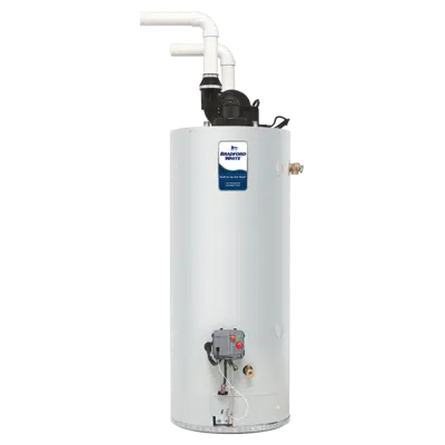 Image pour Light Duty Commercial Power Direct Vent Gas Water Heater