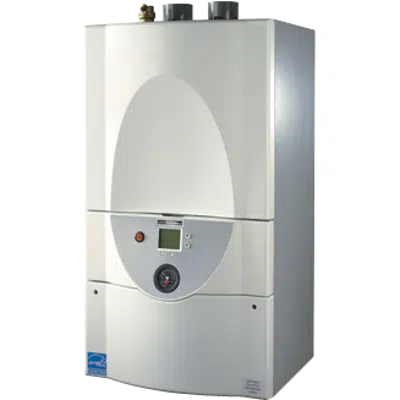 imagen para Brute™ LX Series Boiler, 50000 Btu/hr - 225000 Btu/hr