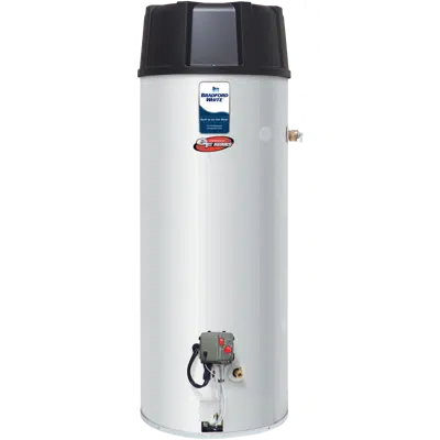 Image pour Light-Duty Commercial eF Series® Power Direct Vent Gas Water Heater