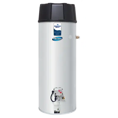 Residential eF Series® Power Direct Vent Gas Water Heater图像