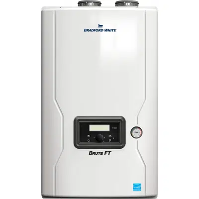 Image pour Brute FT® Wall Hung Boilers (BMFTHW)