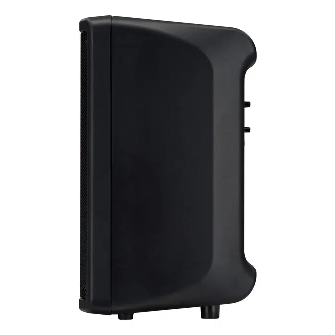 DBR10 Loudspeaker