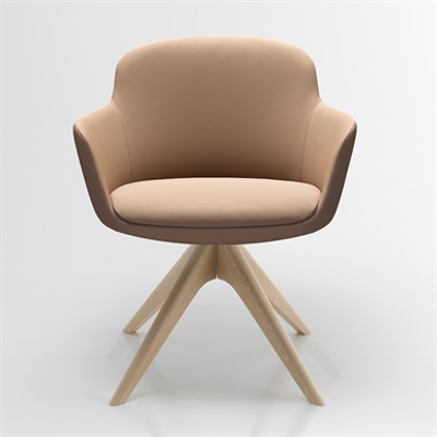 Danae – Meeting chair图像