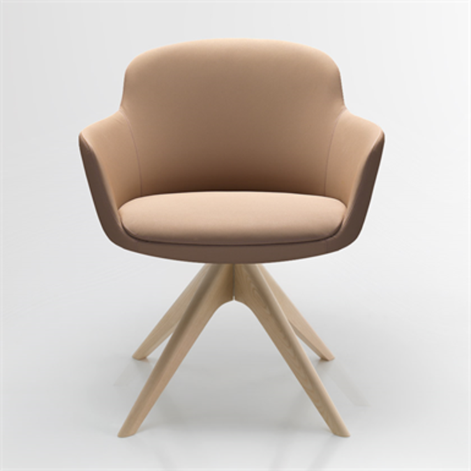 Danae – Meeting chair