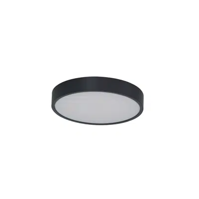 Image for PANDINO 30 CCT SWITCH SENSOR IP44 BK ceiling lamp