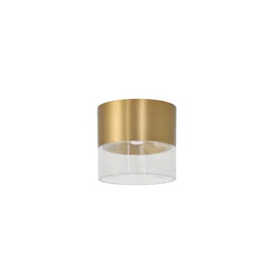 Image for LIMAN 10W CCT GO ceiling lamp