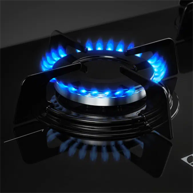 Gas hob with 5 burners 