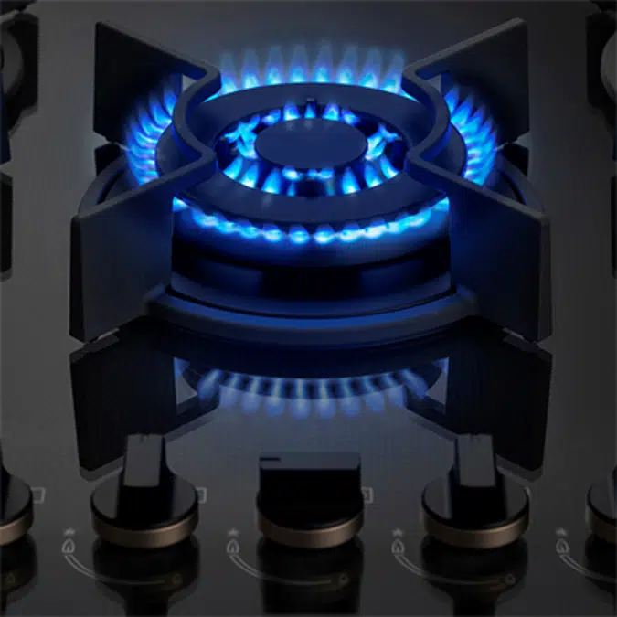 Pro series gas hob with 5 burners