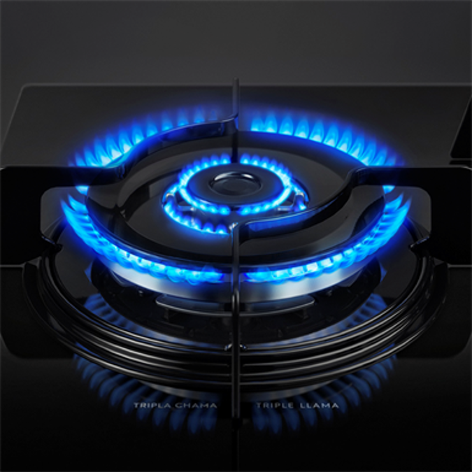 BIM 对象 - 免费下载！ Gas hob with 5 burners with side triple flame burner