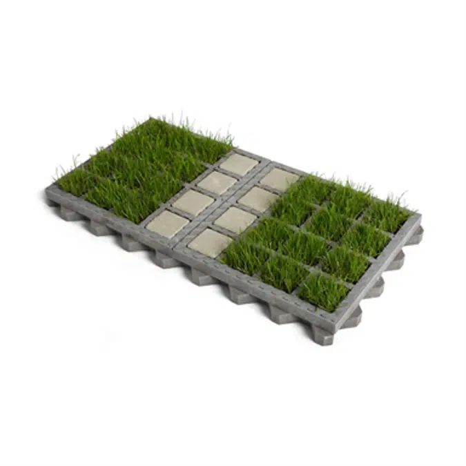 100% grass with 2 paved lines