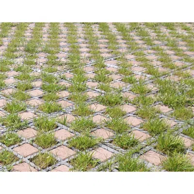 Access road on checkerboard grass / paving stones - complete O2D system için görüntü