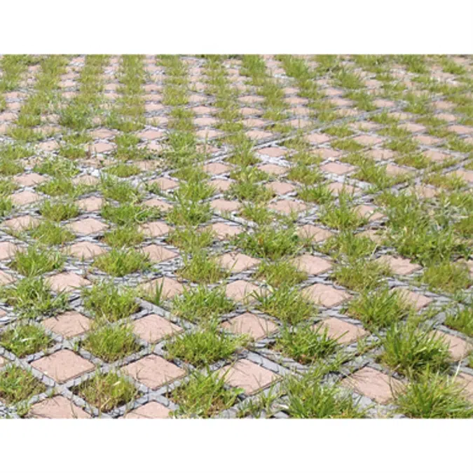 Access road on checkerboard grass / paving stones - complete O2D system