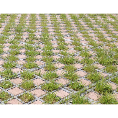 Immagine per Access road on checkerboard grass / paving stones - complete O2D system
