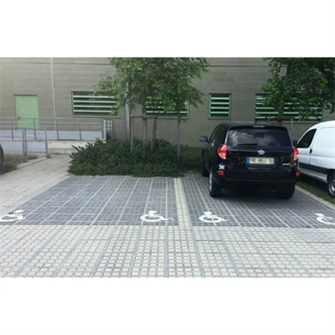 Person with reduced mobility parking place