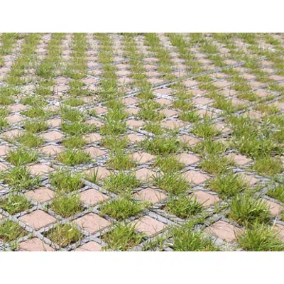 kuva kohteelle Checkerboard grass / paving stones
