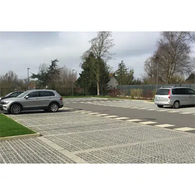 Immagine per 100% gravel with 2 paved lines