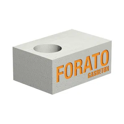 Blocchi forati Gasbeton® Evolution图像