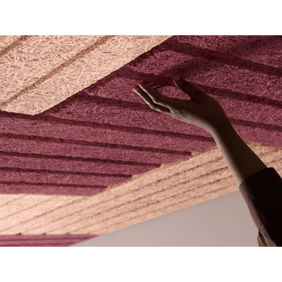 Image pour BAUX Acoustic Ceilings