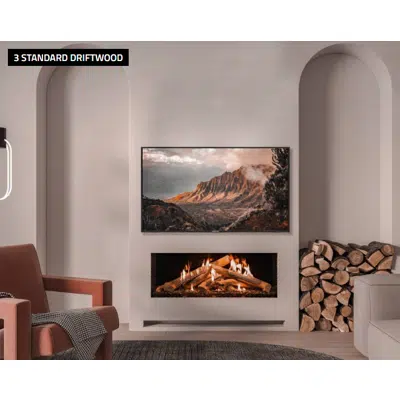 Image pour Wilderness Front Facing Fireplace 44