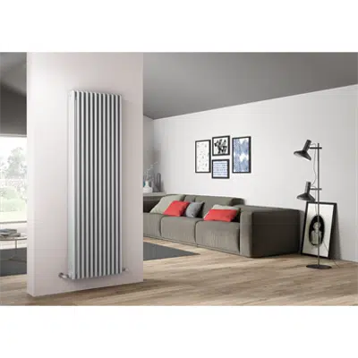 Image for Radiator Tesi 4