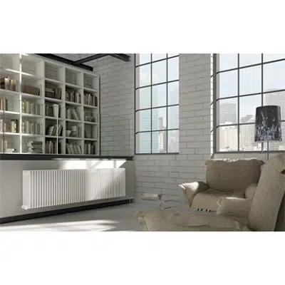 画像 Radiator Tesi 6