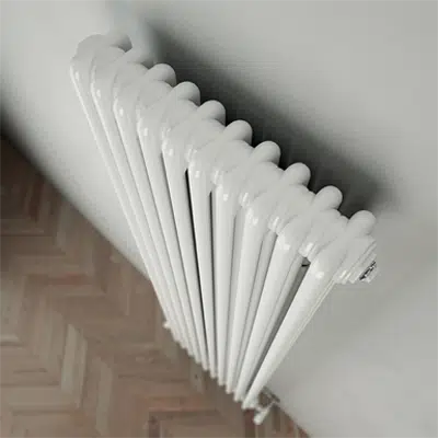 Image for Radiator Tesi 3