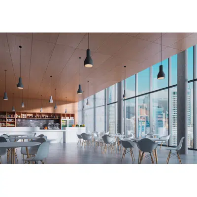 Image for DESIGNBOARD 227 Wood Exposed