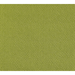 fabric of jacquard [ puffed-up jacquard ]_green