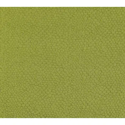 Image pour Fabric of Jacquard [ puffed-up jacquard ]_Green