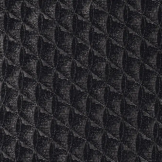 Fabric of Jacquard [ Lame jacquard ]_Black