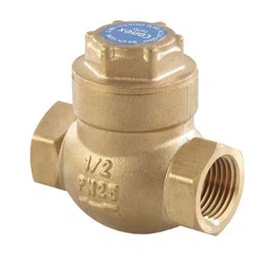 Image for Swing Check Valve