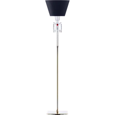 Torch Small Floor Lamp Black lampshade图像