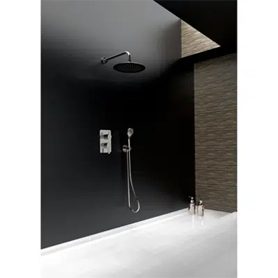 Blautherm Concealed Wall Single Lever 2 Way 941502 RP250 için görüntü